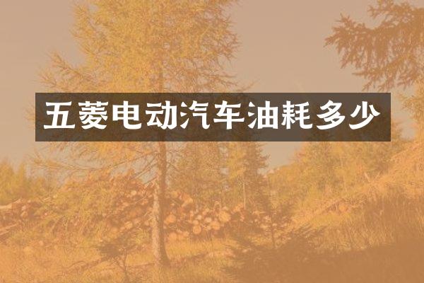 五菱电动汽车油耗多少