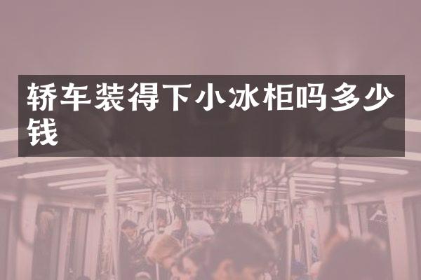 轿车装得下小冰柜吗多少钱