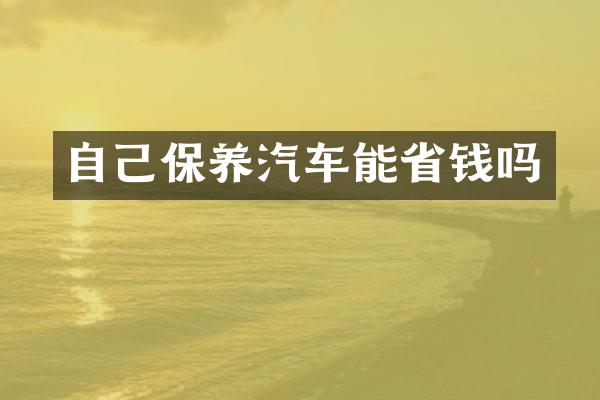 自己保养汽车能省钱吗