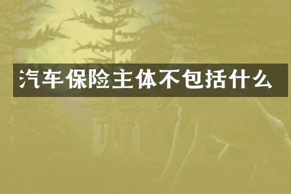 汽车保险主体不包括什么