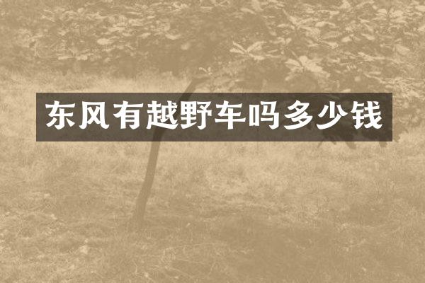 东风有越野车吗多少钱