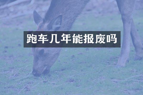 跑车几年能报废吗
