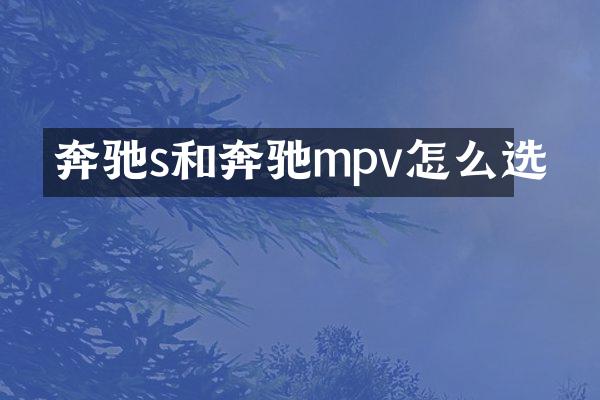 奔驰s和奔驰mpv怎么选
