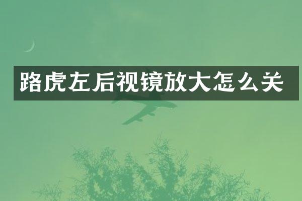 路虎左后视镜放大怎么关
