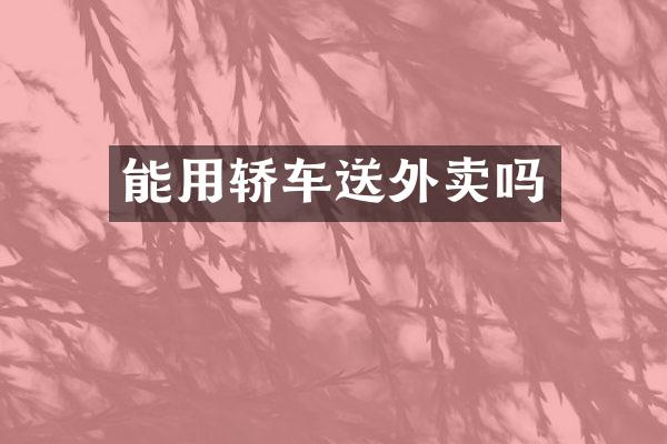 能用轿车送外卖吗