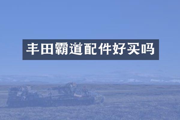 丰田霸道配件好买吗