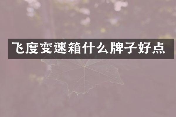 飞度变速箱什么牌子好点