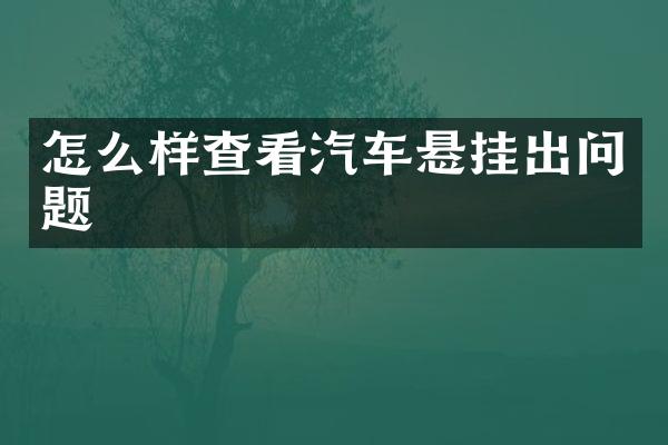 怎么样查看汽车悬挂出问题