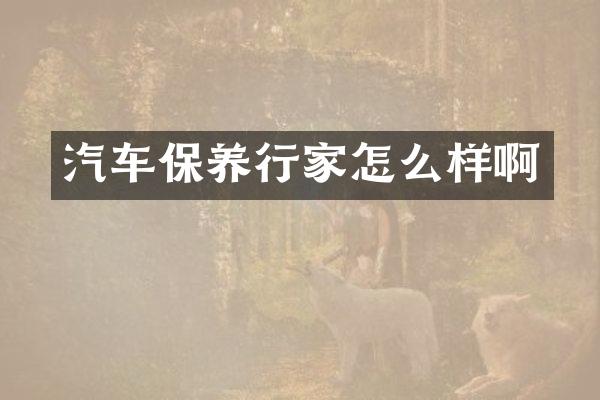 汽车保养行家怎么样啊