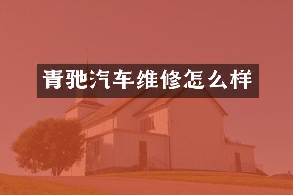 青驰汽车维修怎么样