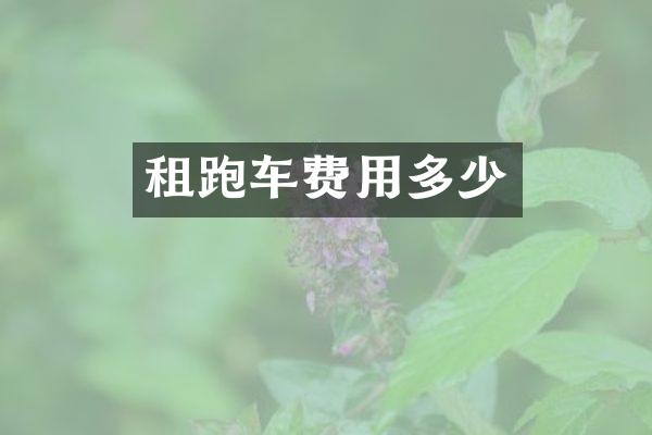 租跑车费用多少