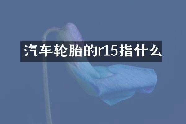 汽车轮胎的r15指什么