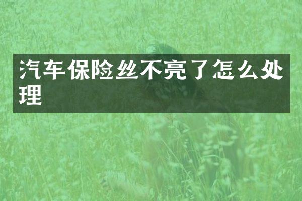 汽车保险丝不亮了怎么处理