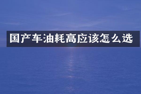 国产车油耗高应该怎么选