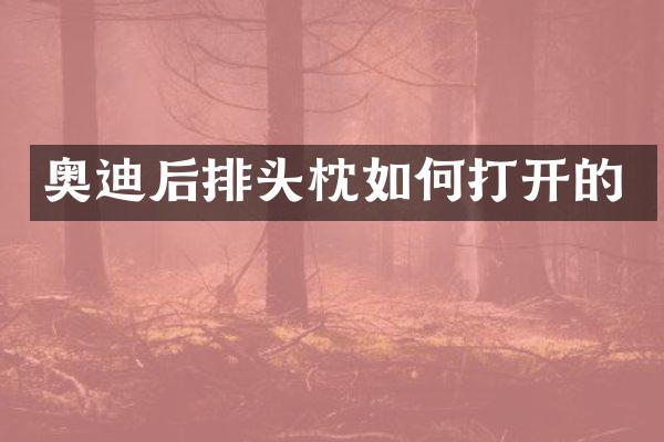 奥迪后排头枕如何打开的