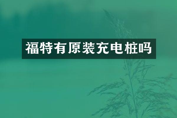 福特有原装充电桩吗