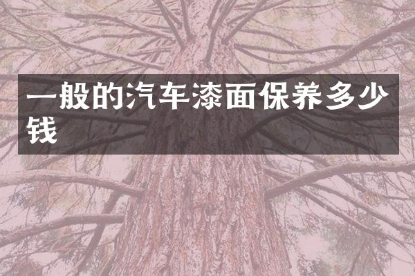 一般的汽车漆面保养多少钱