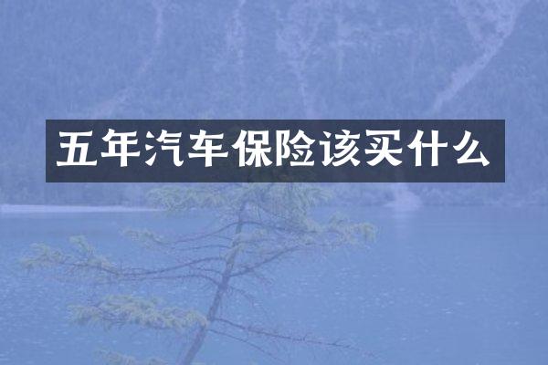 五年汽车保险该