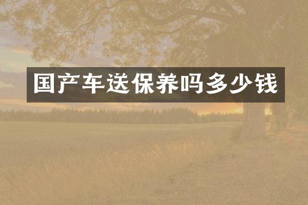 国产车送保养吗多少钱