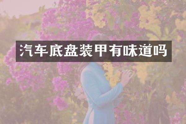 汽车底盘装甲有味道吗