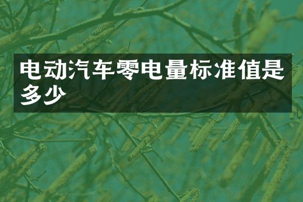 电动汽车零电量标准值是多少