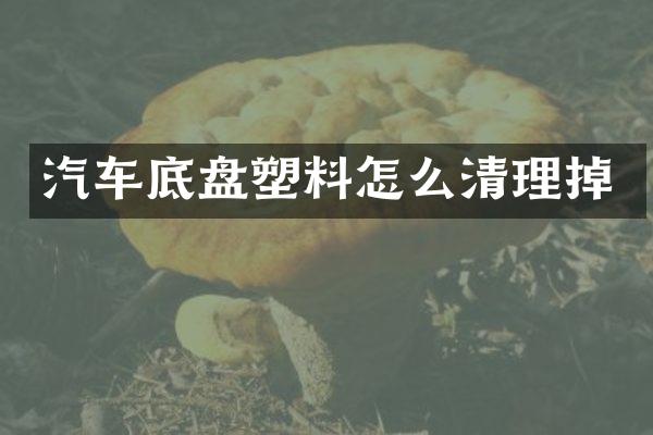 汽车底盘塑料怎么清理掉