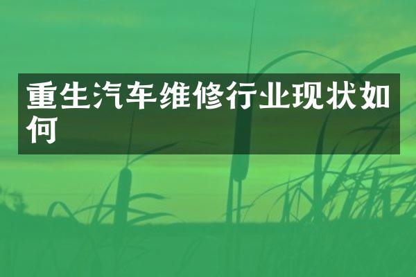 重生汽车维修行业现状如何