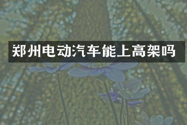 郑州电动汽车能上高架吗