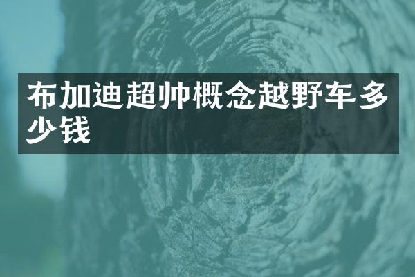 布加迪超帅概念越野车多少钱