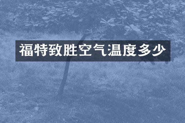 福特致胜空气温度多少