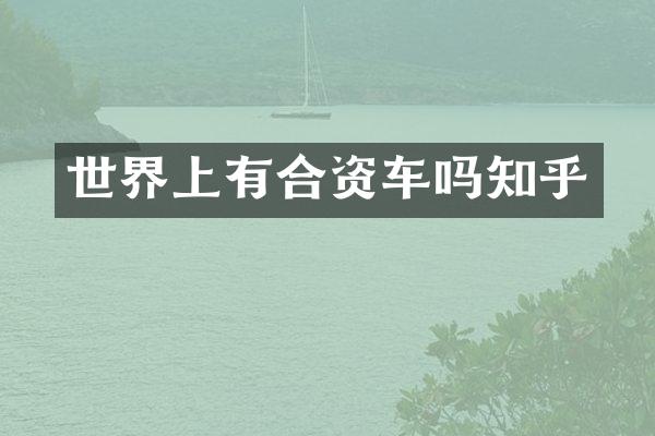 世界上有合资车吗知乎