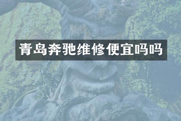 青岛奔驰维修便宜吗吗