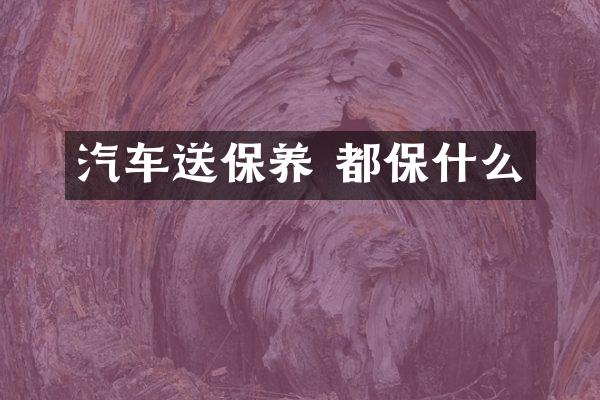 汽车送保养 都保什么