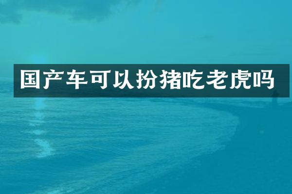 国产车可以扮猪吃老虎吗
