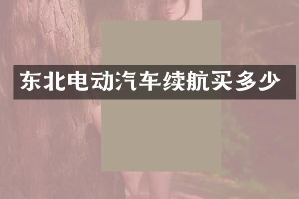 东北电动汽车续航买多少