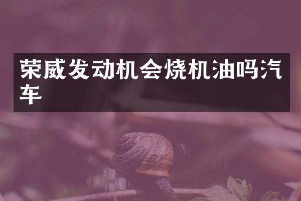 荣威发动机会烧机油吗汽车