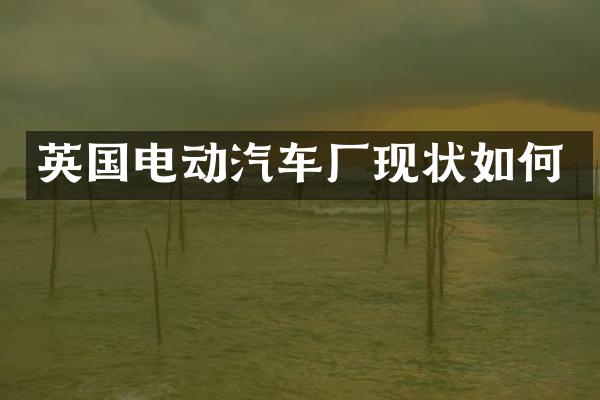 英国电动汽车厂现状如何