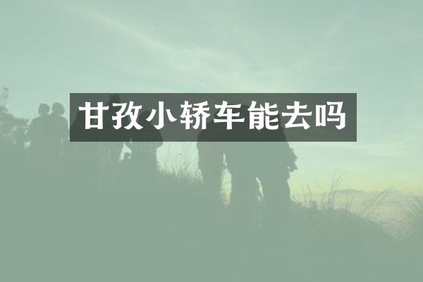 甘孜小轿车能去吗
