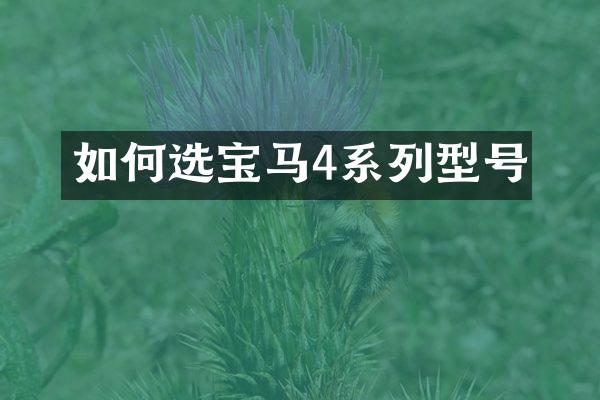 如何选宝马4系列型号