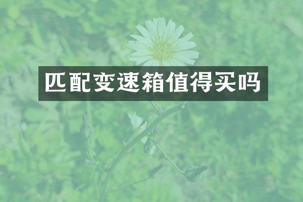 匹配变速箱值得买吗