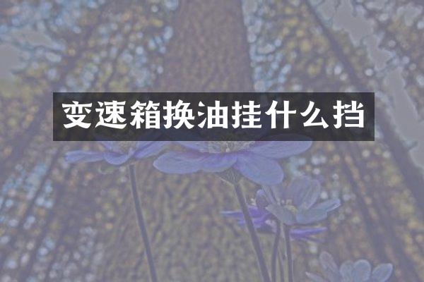 变速箱换油挂什么挡