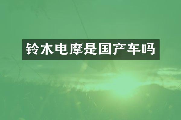 铃木电摩是国产车吗