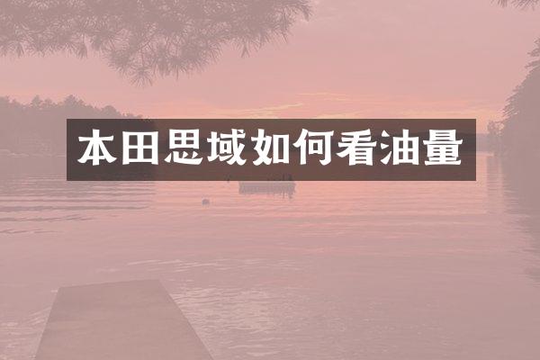 本田思域如何看油量
