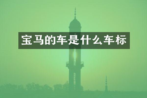 宝马的车是什么车标
