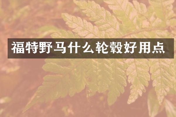 福特野马什么轮毂好用点