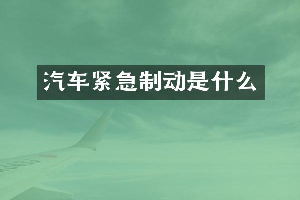 汽车紧急制动是什么