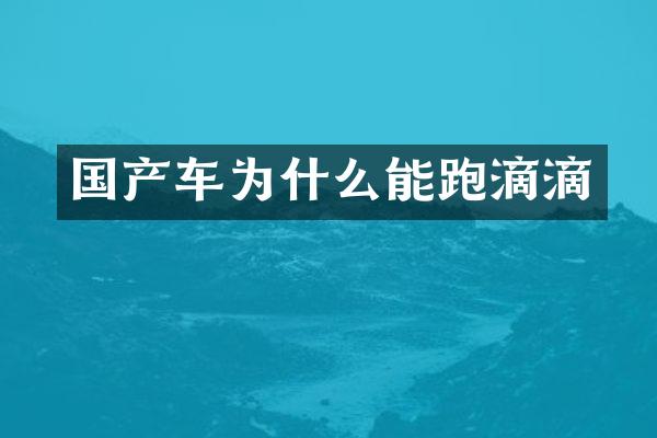 国产车为什么能跑滴滴
