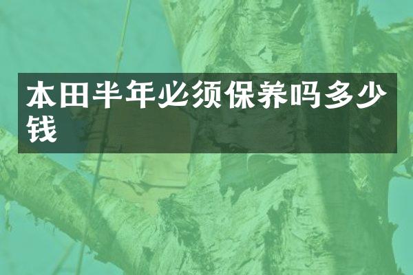 本田半年必须保养吗多少钱