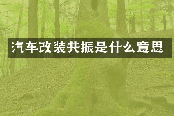 汽车改装共振是什么意思
