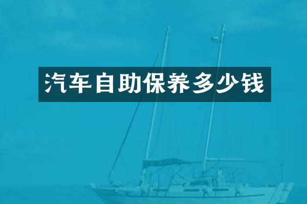 汽车自助保养多少钱